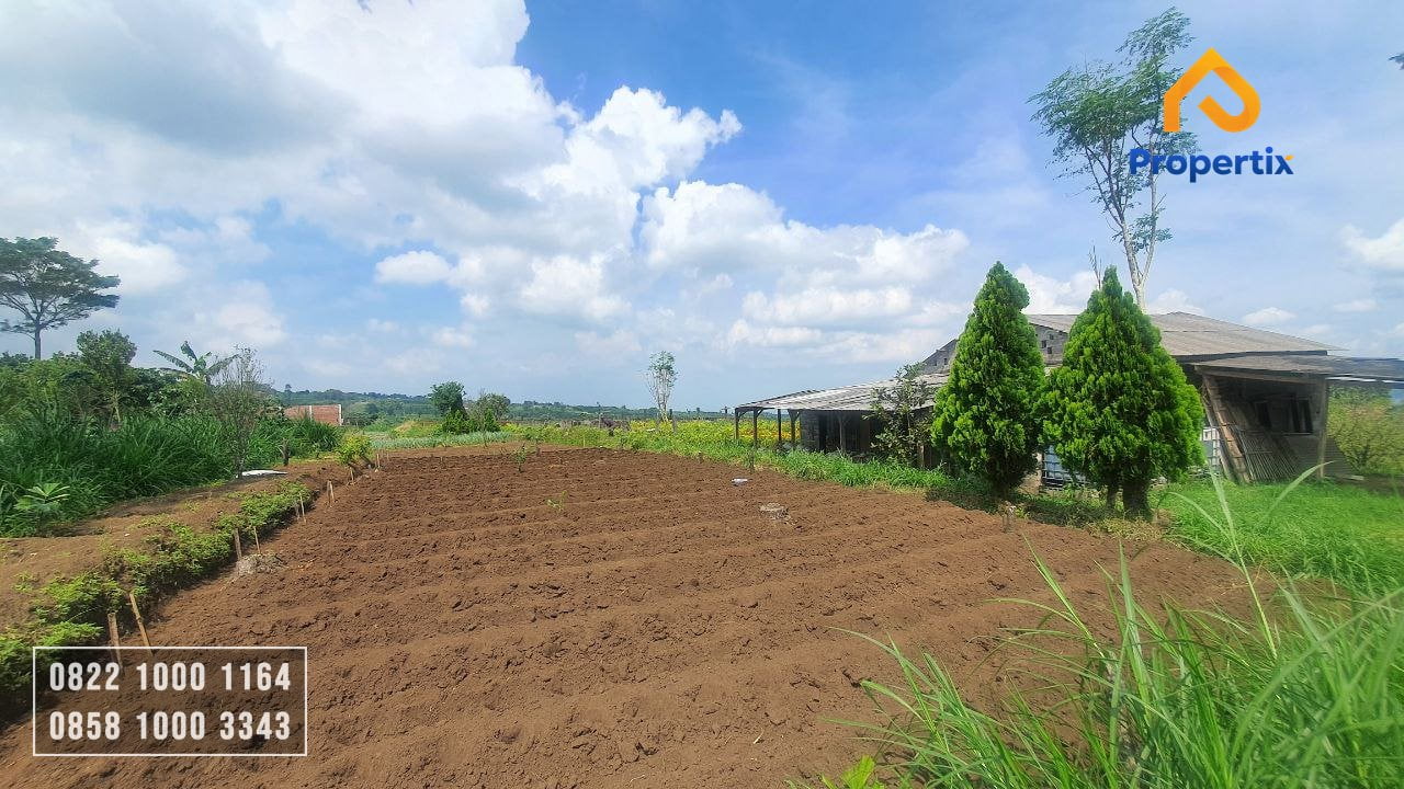 Tanah Kebun Dijual