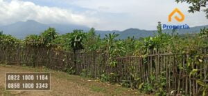Dijual Tanah Kebun Lemon