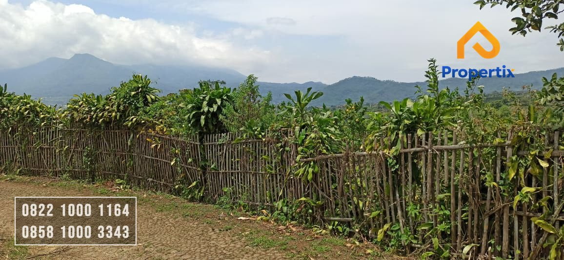 Dijual Tanah Kebun Lemon