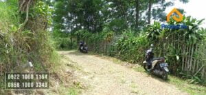 Dijual Tanah Kebun Lemon
