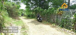 Dijual Tanah Kebun Lemon
