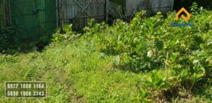 Tanah Dijual Murah