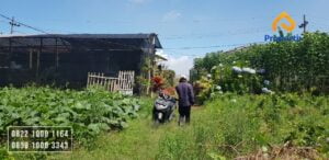 Tanah Dijual Murah