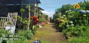 Tanah Dijual Murah