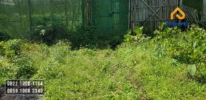 Tanah Dijual Murah