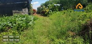 Tanah Dijual Murah