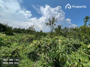 Tanah Vila Kebun Siap Bangun