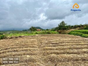 Tanah Hunian Dijual