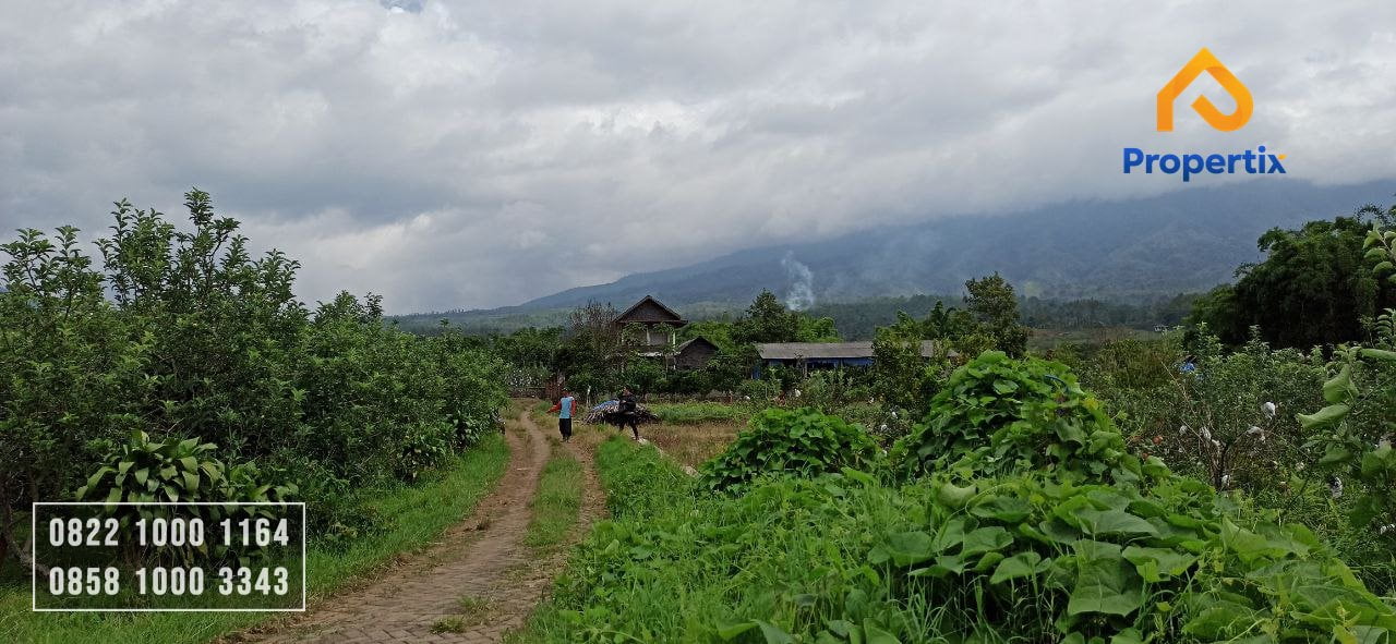 Dijual Tanah Murah