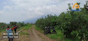 Dijual Tanah Murah