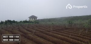 Tanah Pertanian Murah