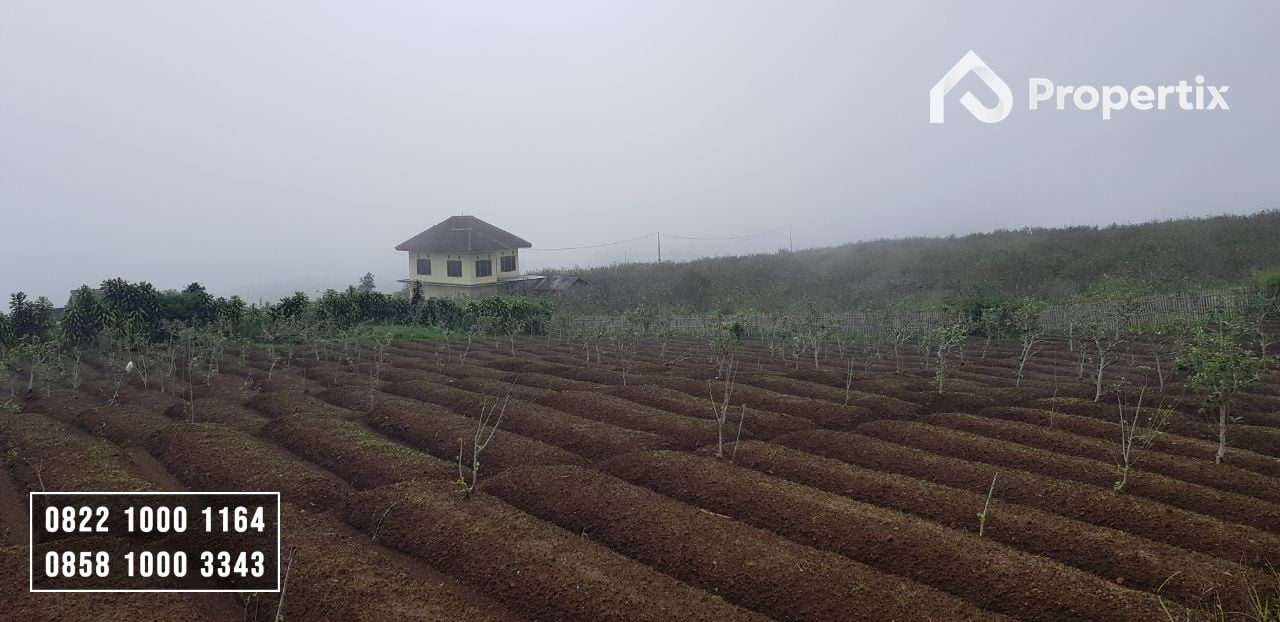 Tanah Pertanian Murah