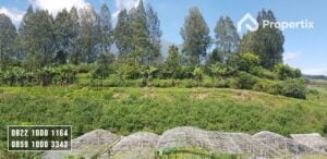 Kebun Apel Murah