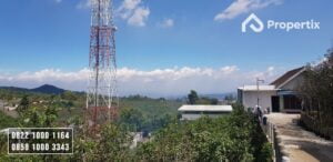 Kebun Apel Murah