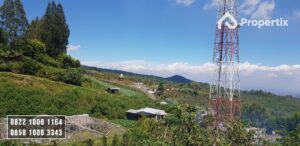 Kebun Apel Murah