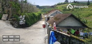 Kebun Apel Murah