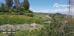 Kebun Apel Murah