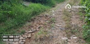 Kebun Apel Dijual
