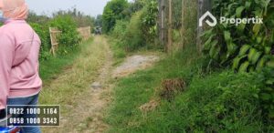 Kebun Apel Dijual