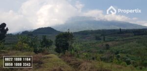 Investasi Tanah Murah