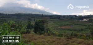Investasi Tanah Murah