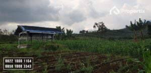 Investasi Tanah Murah
