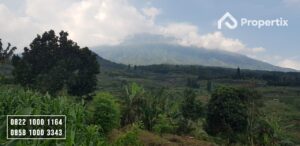 Investasi Tanah Murah