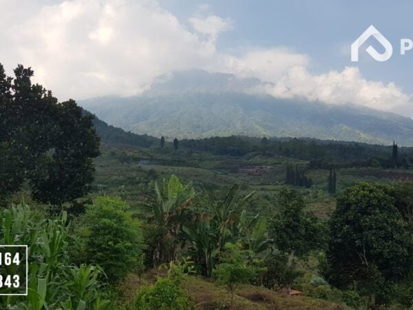 Investasi Tanah Murah