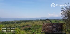 Tanah Kebun Harga Murah