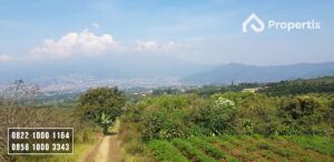 Tanah Kebun Harga Murah