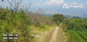 Tanah Kebun Harga Murah