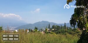 Tanah Kebun Harga Murah